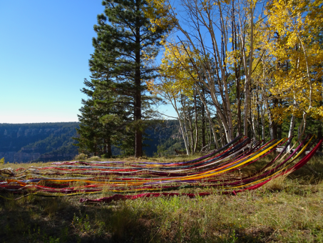“Colors of the Grand Canyon” 3D Textile Installations from my Artist-in-Residency at the North Rim